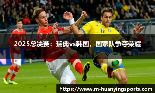 2025总决赛:瑞典vs韩国,国家队争夺荣耀